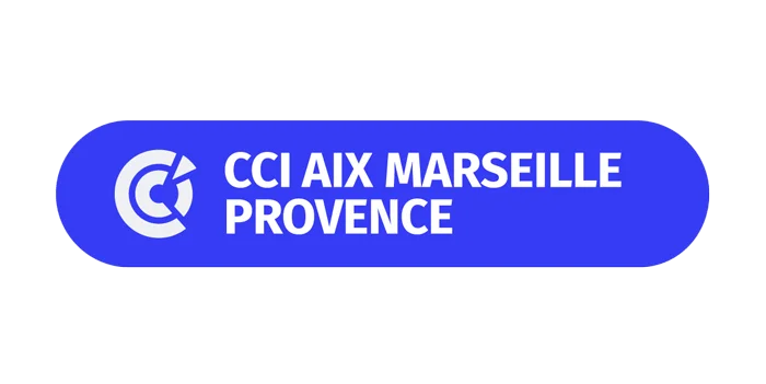 logo-cci-aix-marseille-2